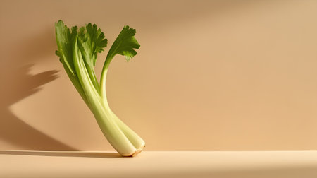Fresh celery on a beige background. Minimal style.の素材