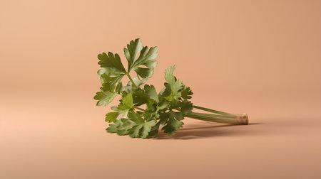 Fresh parsley on a brown background. Minimalistic style.の素材