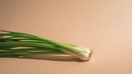 Spring onion on a beige background with copy space for your textの素材