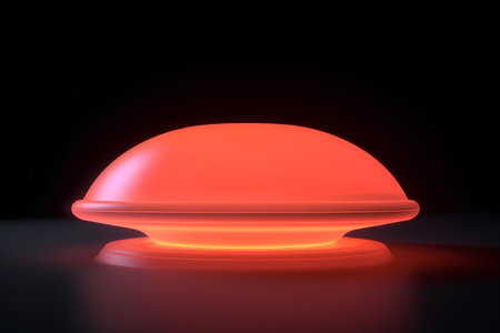 3d rendering of a red round tray on a black background.の素材