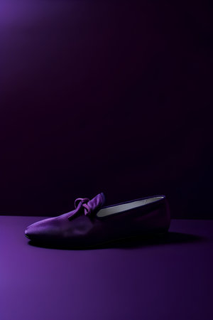 A pair of black shoes on a purple background. Studio shot.の素材
