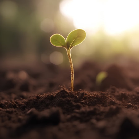 Green seedling illustrating concept of new life and green investment in agricultureの素材
