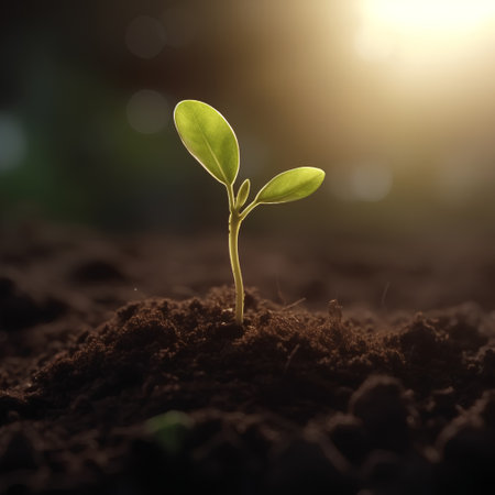 Green seedling illustrating concept of new life with sunbeams and lens flareの素材