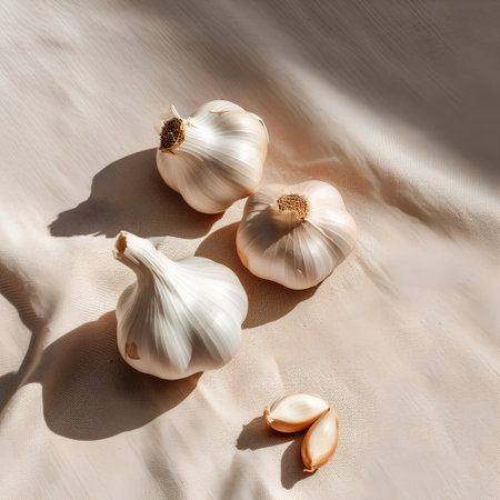 Fresh garlic bulbs on beige textile background. Flat lay, top viewの素材