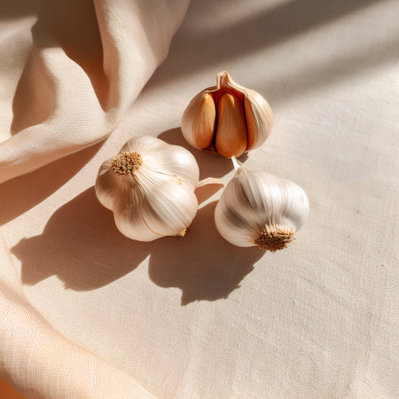 Garlic bulbs on a linen tablecloth in sunlight, top viewの素材