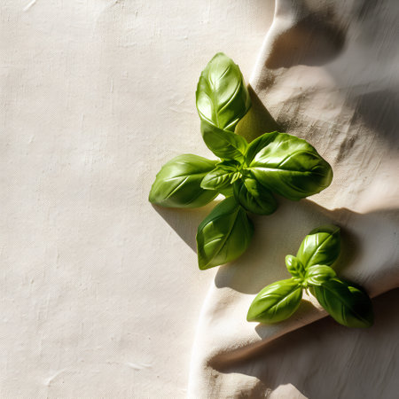 Fresh green basil leaves on linen tablecloth. Top view, copy spaceの素材