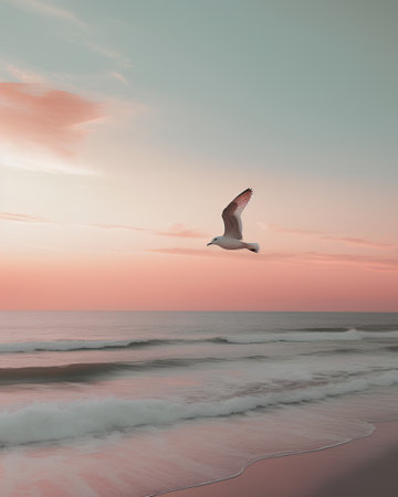 Seagull flying on the beach at sunset. 3d renderの素材