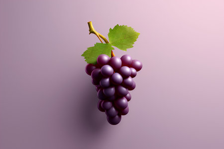 Grapes with leaf on purple background. 3d illustration.の素材