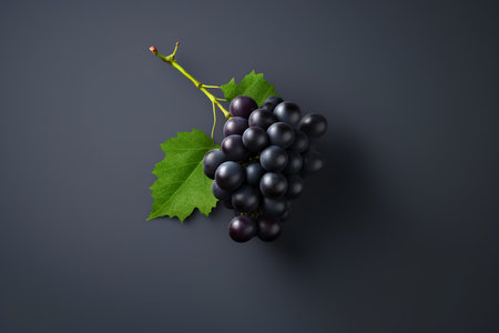 Black grapes with green leaves on dark background. 3d illustration.の素材