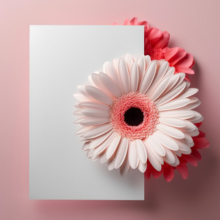 Pink and white gerbera flowers with blank card on pink backgroundの素材