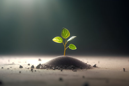 Green sprout growing from soil on dark background. Earth day conceptの素材