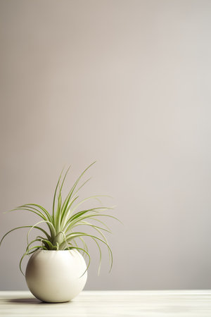 Plant in vase on wooden table and gray wall background.の素材