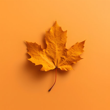 Autumn maple leaf isolated on orange background. Flat lay, top viewの素材