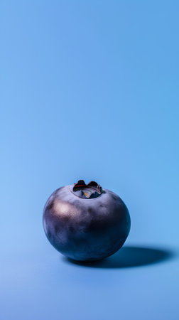 Blueberry on a blue background. Minimalistic still life.の素材