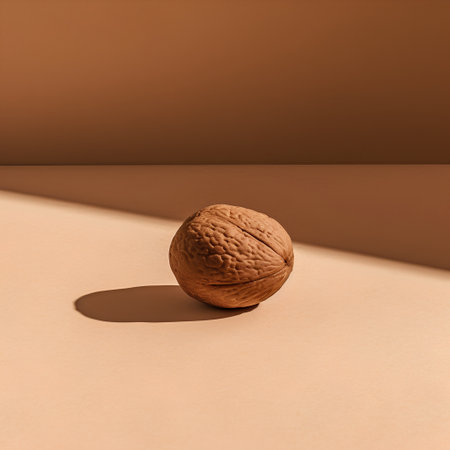 Walnut on a light brown background. Minimalistic concept.の素材