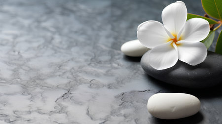 Spa stones and frangipani flower on grey marble backgroundの素材