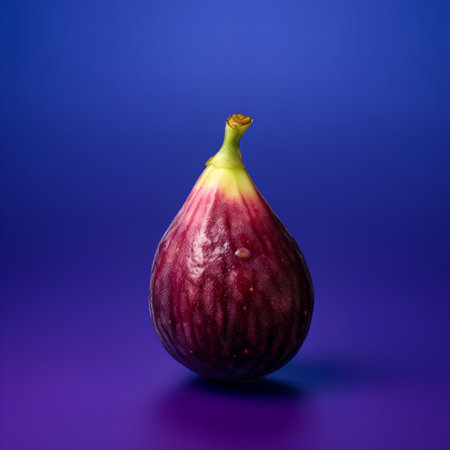 Fresh figs on a blue background. Studio photography of a fig.の素材