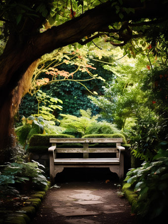 Bench in the park. Beautiful nature scene with wooden bench and green trees.の素材