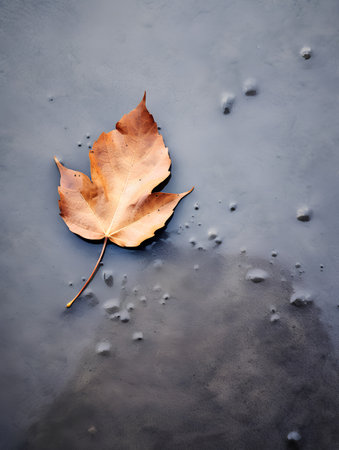 Autumn maple leaf on the ice of a frozen lake. Toned.の素材