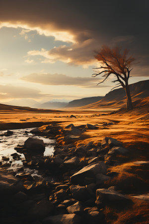 Dramatic sunset landscape with lonely tree in the foreground, UKの素材