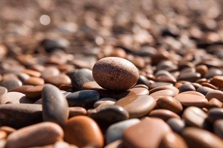 pebbles on the beach in the morning light, shallow depth of fieldの素材