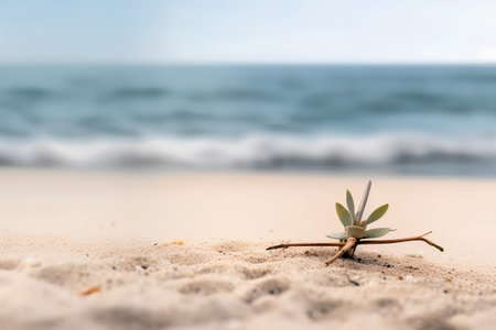 Little plant on the sand with the sea in the background, with copy spaceの素材