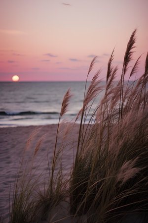Beautiful sunset on the beach with grass in the foreground and sea backgroundの素材