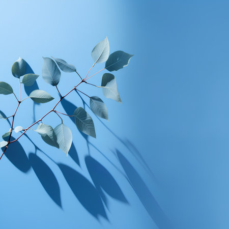 Eucalyptus branch with leaves on blue background. Flat lay, top viewの素材