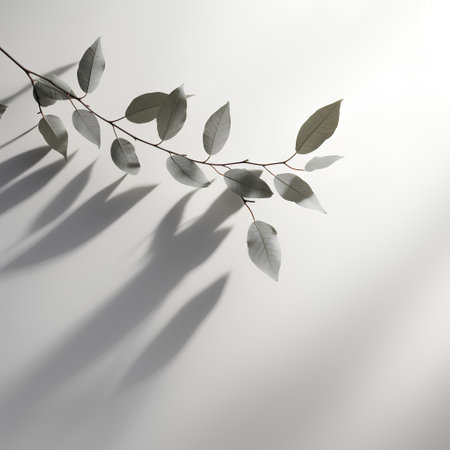 Shadow of leaves on a white background. 3d rendering illustration.の素材