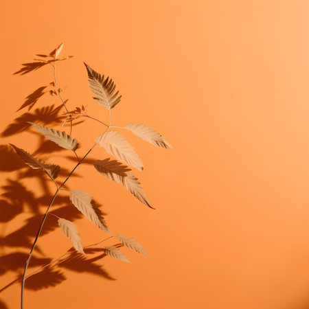 Autumn leaves on an orange background. Minimal autumn concept.の素材