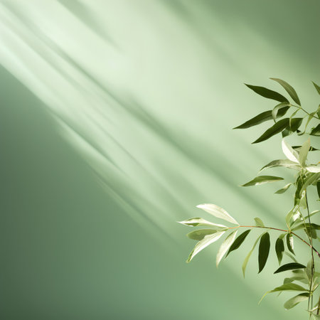 Green leaves on green background with shadow overlay. Flat lay, top viewの素材