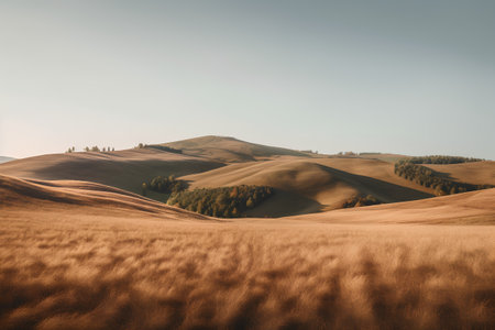 Beautiful landscape of rolling hills in Tuscany, Italy.の素材