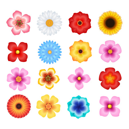 Flowers Vector Setのイラスト素材