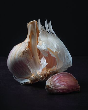 Majestic Garlic on Dark Background Still Lifeの写真素材