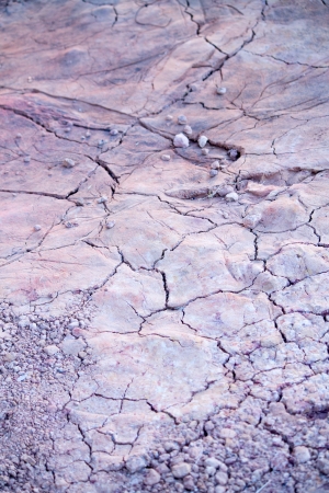 Ground violetの写真素材