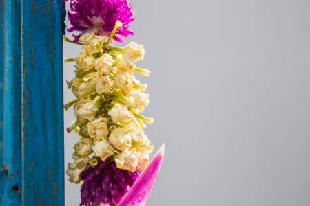  lei flowerの写真素材