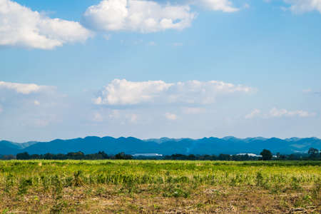 farm mountain