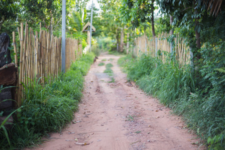 road countryの写真素材