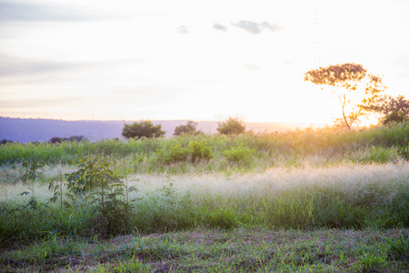 farm fieldの写真素材