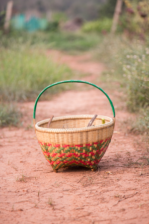 basket in the gardenの写真素材