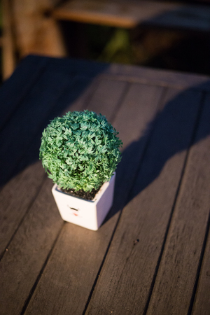 brush green vase on the tableの写真素材