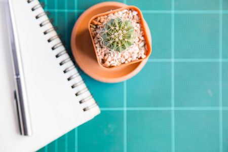 note book with pen and cactus.の写真素材
