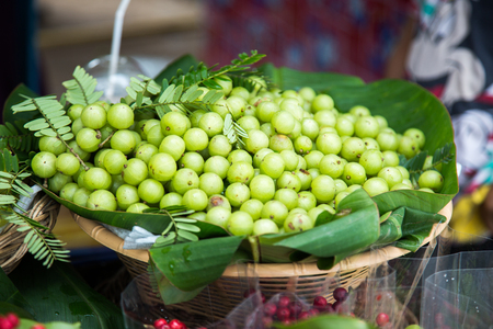 Indian gooseberriesの写真素材