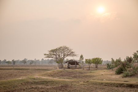 country road at river sideの写真素材