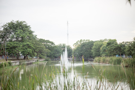 Green river and springの写真素材