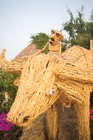 Straw puppet in a field farmの写真素材