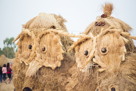 Straw puppet in a field farmの写真素材
