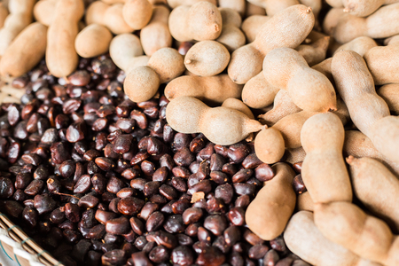 Brown tamarind and seed themの写真素材
