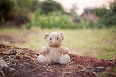 old doll bear on a landの写真素材