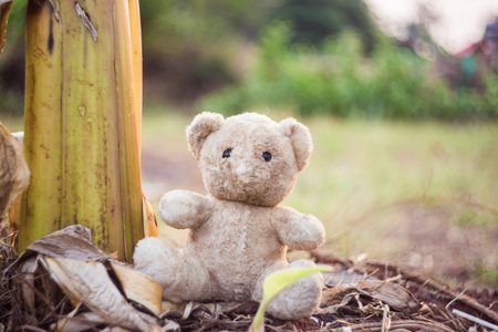 old doll bear on a landの写真素材